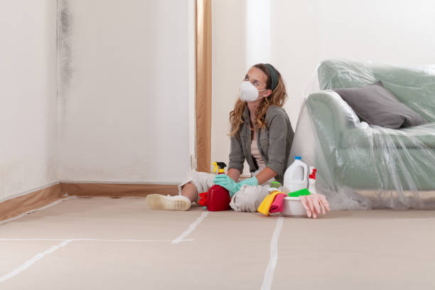 Reliable Mold Remediation contractor in Leesburg, VA by Cheap Mold Removal
