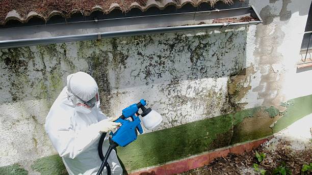 Trusted Mold Testing service in Leesburg, VA - Cheap Mold Removal